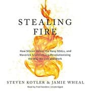 Stealing Fire book cover