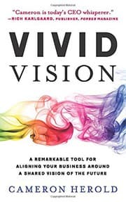 Vivid Vision book cover